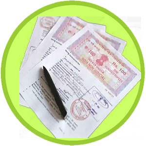 Registration Document